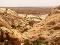 Wildhorse Canyon